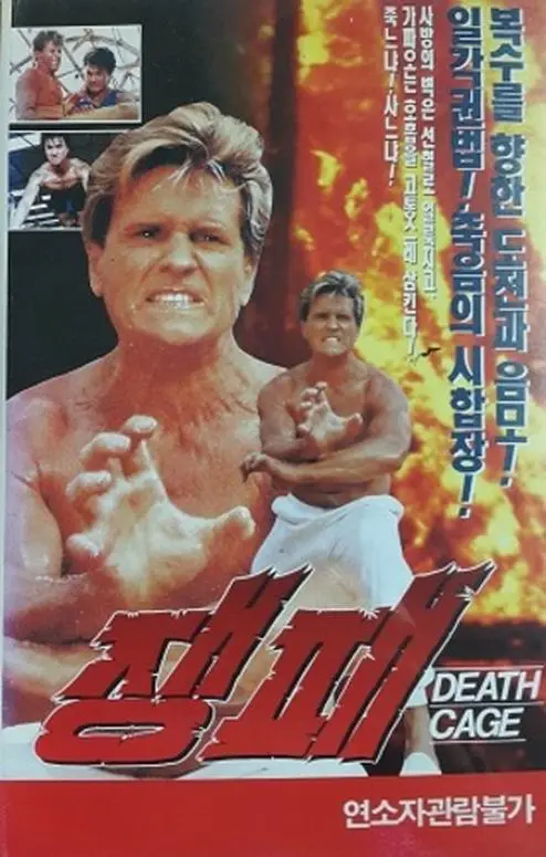 《搏击英雄》：热血格斗燃爆荧屏，逆袭之路触动灵魂！