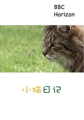 《地平线系列：小猫日记》：萌力爆表！猫咪的奇趣世界，治愈你所有不开心